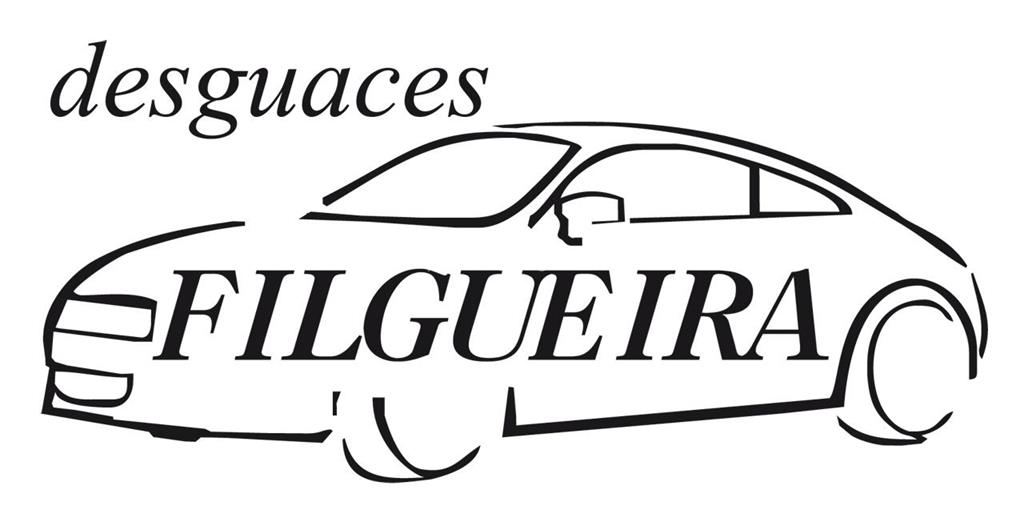 Desguaces Filgueira – Desguace y Recambios de Coches en Pontevedra