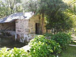 PHOTO-2026-04-22-13-02-39